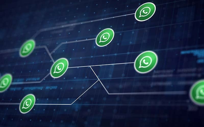 WhatsApp Channels Is the New Social Media